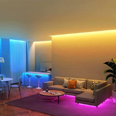 Rgbの穂軸LEDの滑走路端燈840Leds/Mの24V部屋のための適用範囲が広く薄いネオン ライトのストリップ