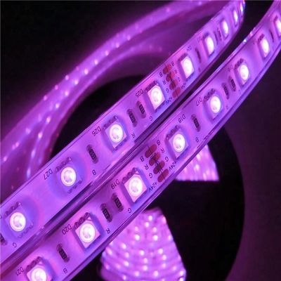 17W/Mは5050導かれたワット数12v 24V IP68の防水プール滑走路端燈を導いた
