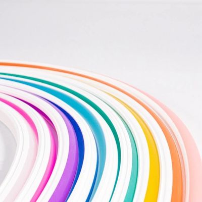 多色刷りの適用範囲が広いシリコーンLEDのネオン ライトの注文の管ライト印6mm 8mm 10mm 6500k