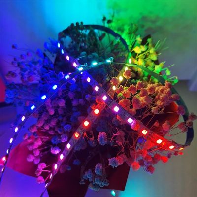 それぞれRgb適用範囲が広い5050 LEDのストリップ アドレス指定可能な60 144導かれたピクセル