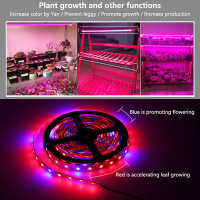 DC12V DIYの赤く青い3:1の4:1の5:1は気分ライト12Vを育てる植物のための軽いストリップを導いた