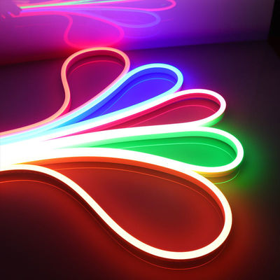 12V 24V Rgb LEDのネオン ライト