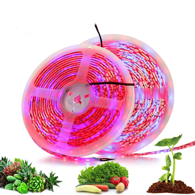 DC12V DIYの赤く青い3:1の4:1の5:1は気分ライト12Vを育てる植物のための軽いストリップを導いた